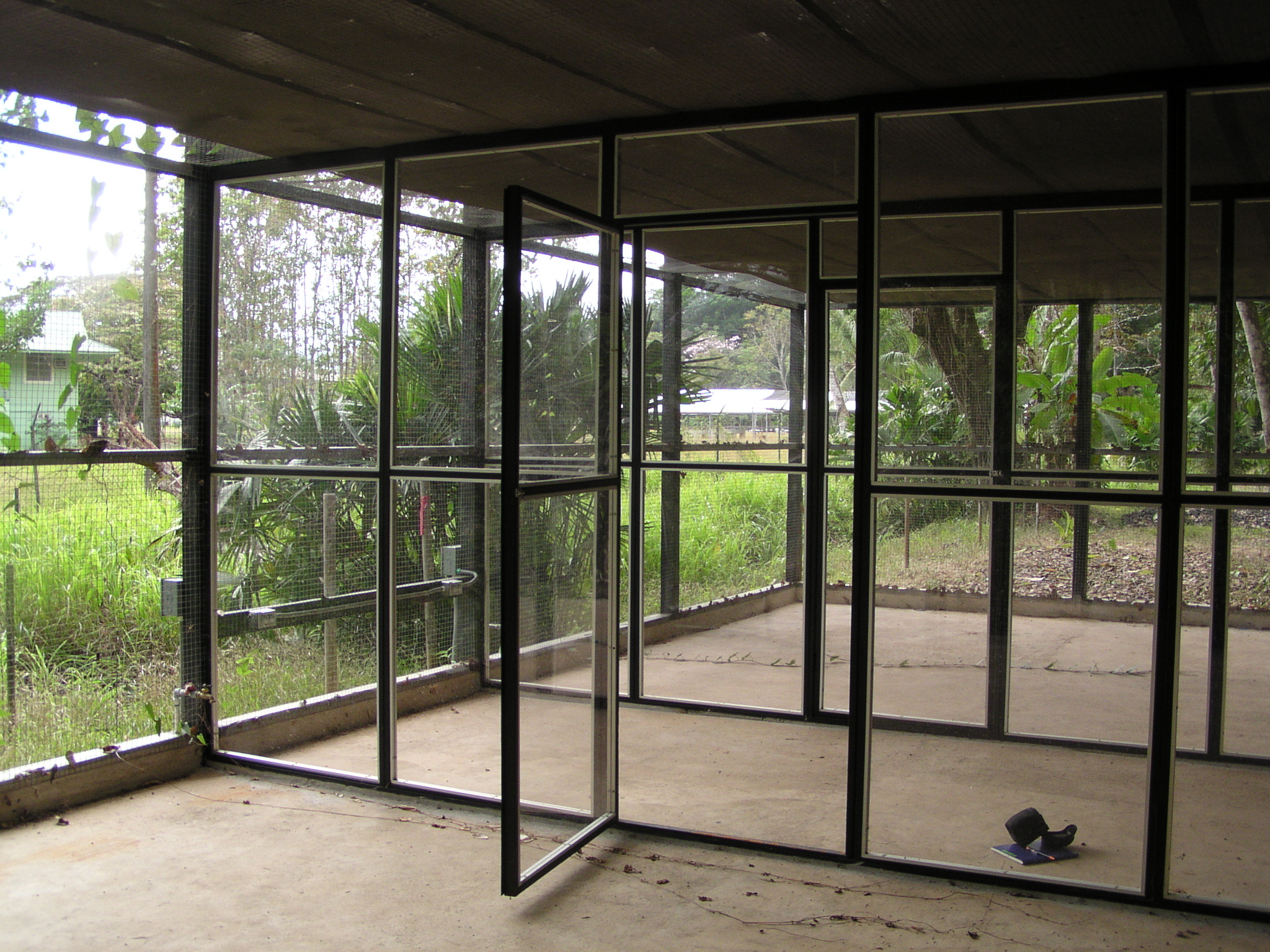 bat cage
